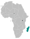 Madagascar 