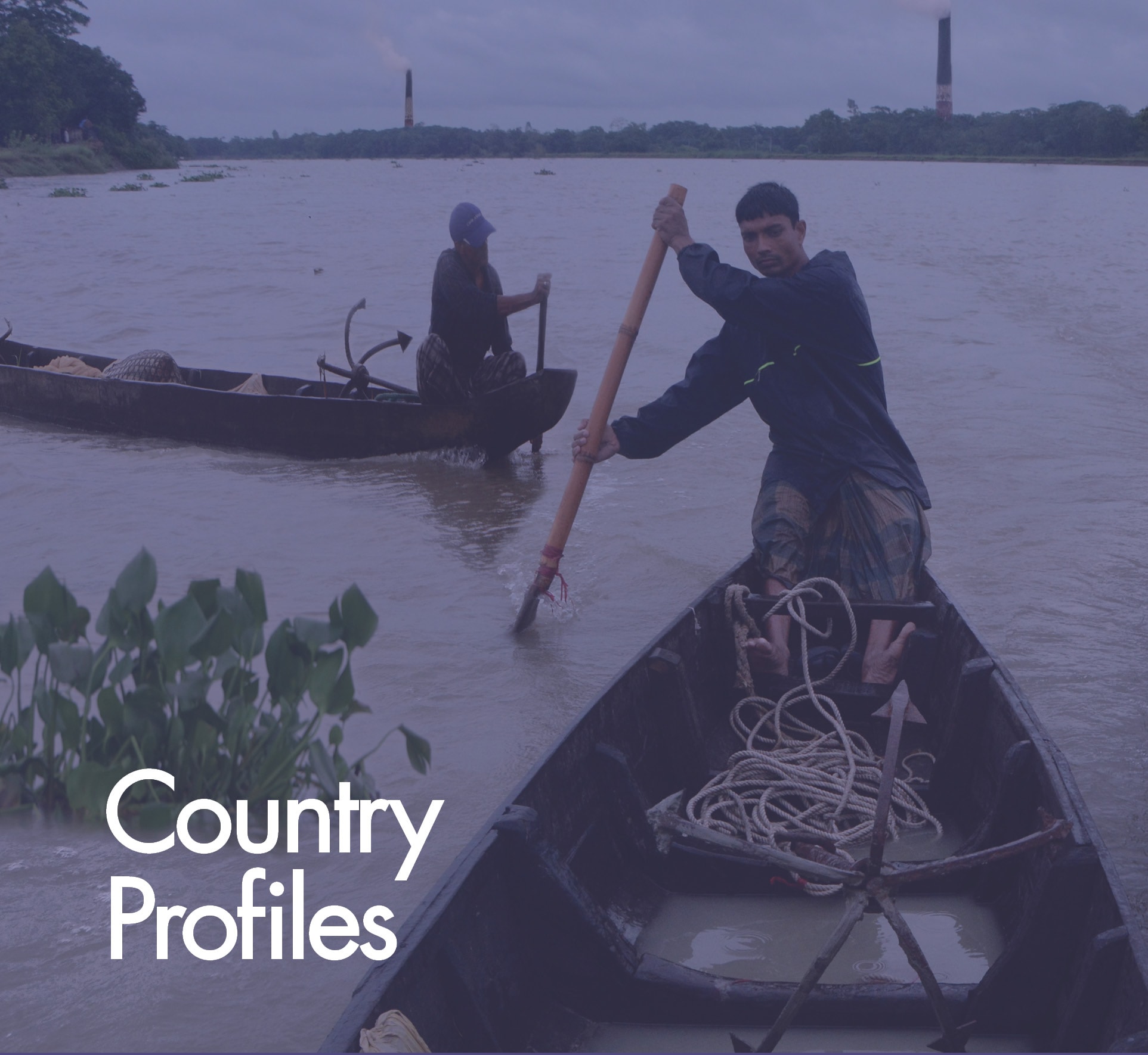 Country Profiles