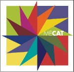 Monitoring and Evaluation Capacity Assessment Toolkit (MECAT)
